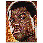 4 Tableaux Pixel Art - FINN (5800 boutons) QUERCETTI