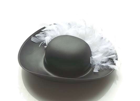 Chapeau de mousquetaire Chapeau de mousquetaire LIONTOUCH